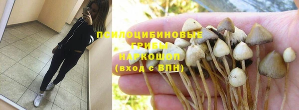 Альфа ПВП Абаза