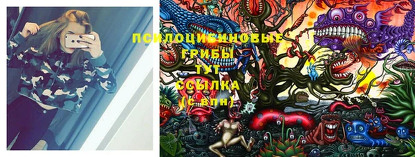 бошки Абинск
