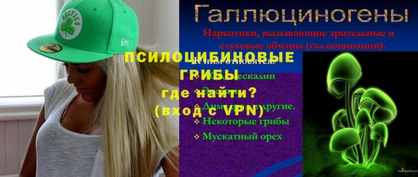 бошки Абинск
