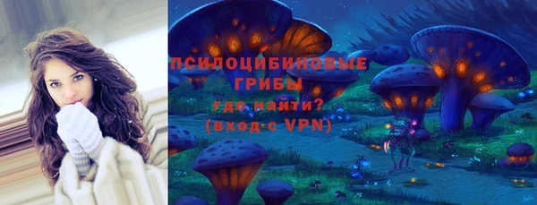бошки Абинск