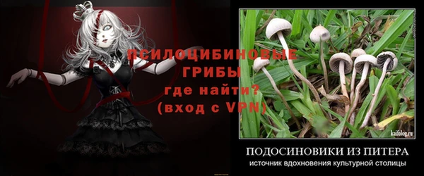 бошки Абинск