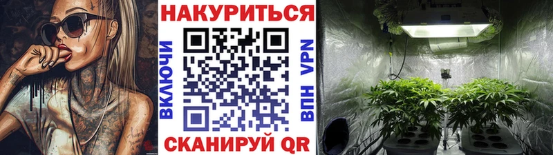 ОМГ ОМГ ТОР Яровое Бошки марихуана AK-47